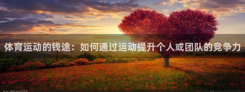 zoty中欧体育平台