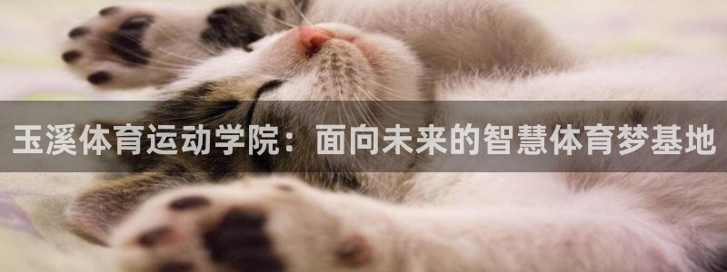中欧体育官网入口