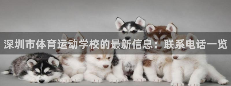 中欧体育zoty下载