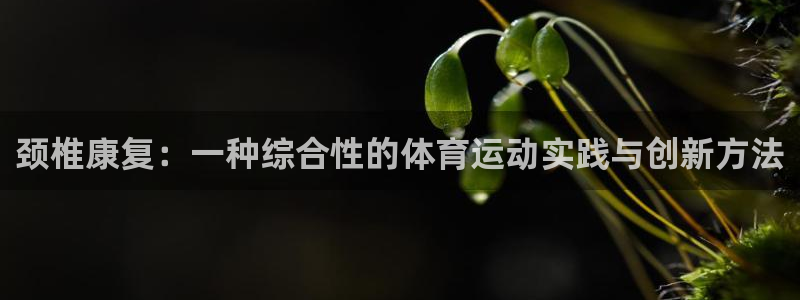 中欧体育ios