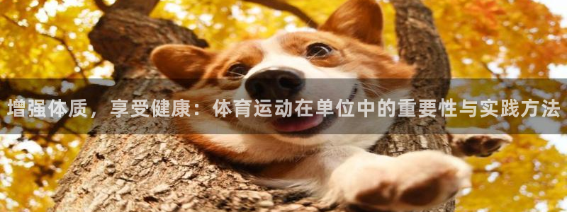 中欧体育全站app