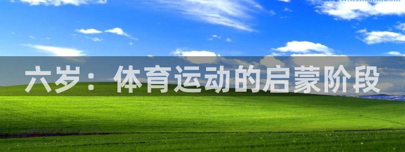 中欧体育