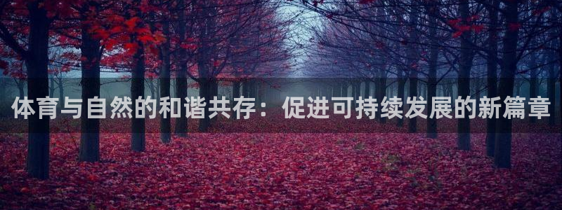 中欧体育李勇鸿