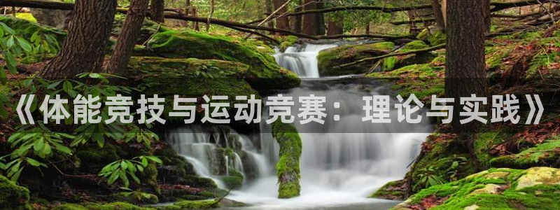 中欧体育官网入口