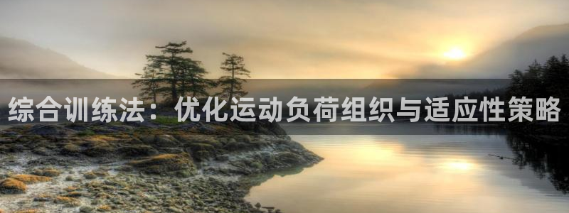中欧体育集团