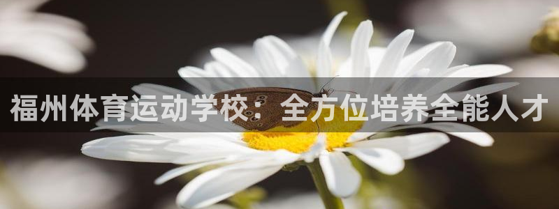 zyty中欧体育平台