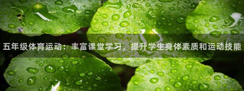 中欧体育ios