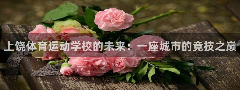 中欧体育网址